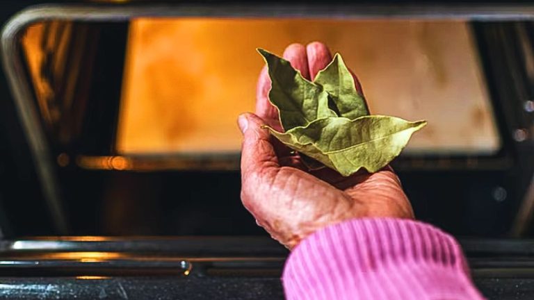 L’astuce magique de la feuille de laurier dans le four que vous devriez adopter dès maintenant