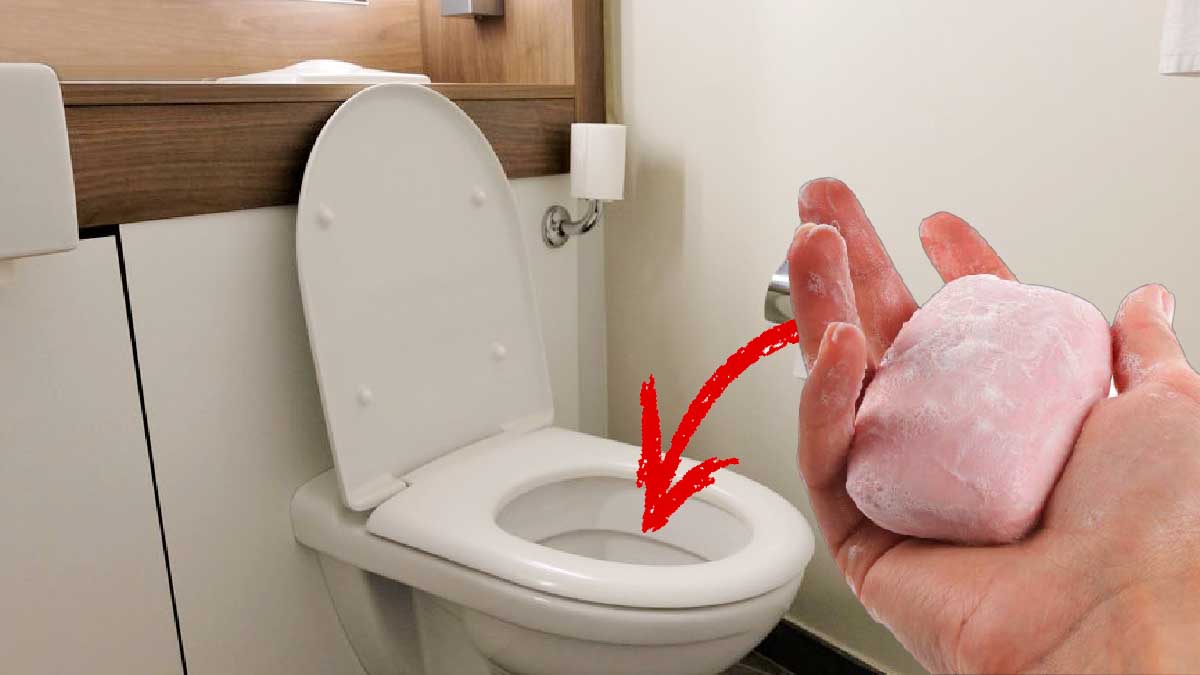 Du savon dans les toilettes : une astuce géniale que de plus en plus de personnes adoptent