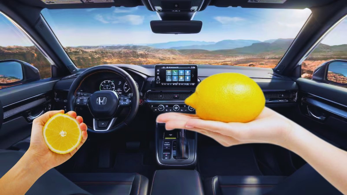 Cette astuce de génie avec des citrons évite aux automobilistes une lourde amende