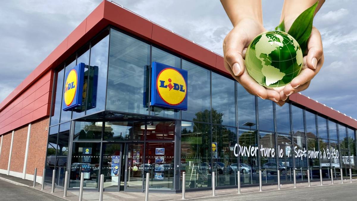 Lidl fait sensation avec un nouveau supermarché 100 % vert à deux pas de Paris