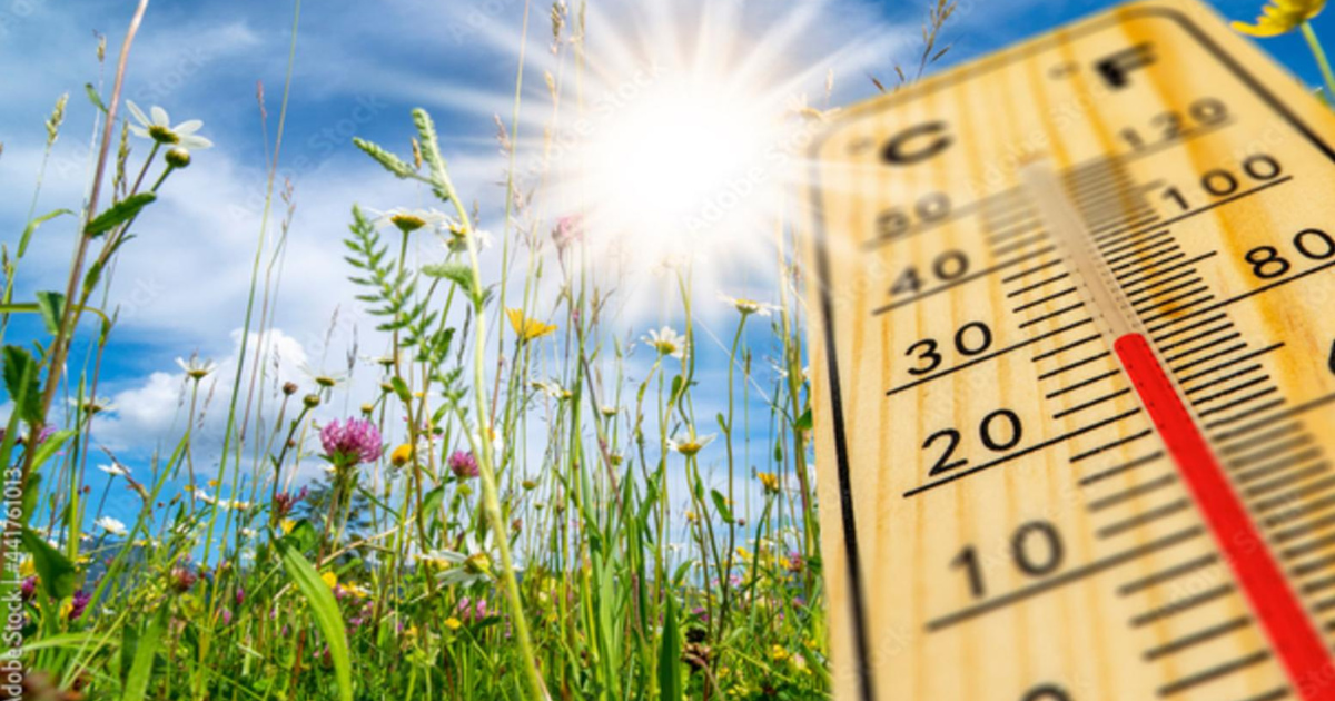 Météo du printemps 2025 : découvrez les tendances annoncées qui vous feront plaisir