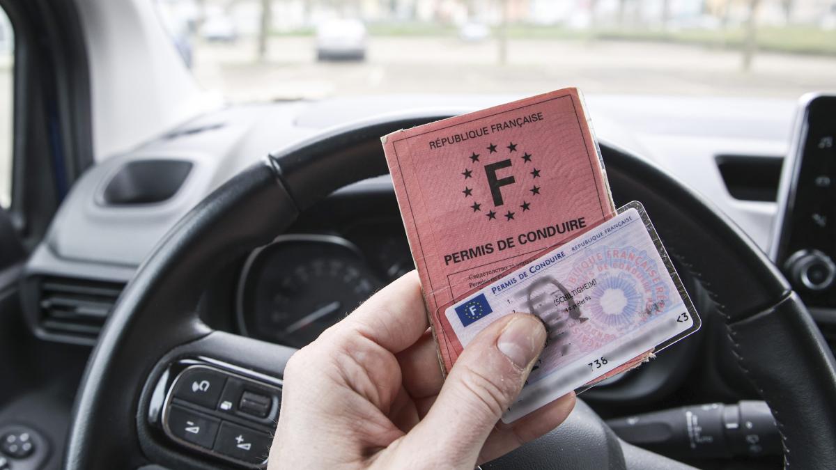 Permis de conduire : attention à cette erreur qui peut vous coûter cher lors de votre demande en ligne