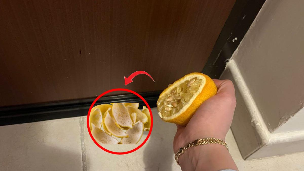 L'astuce magique des écorces de citron sous la porte et la fenêtre, un secret ancien qui va vous surprendre