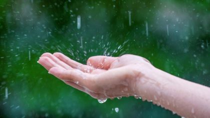 Vous récupérez l’eau de pluie chez vous ? Attention, vous risquez 45 000 € d’amende et 3 ans de prison