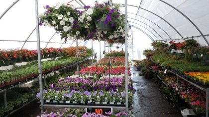 Coup dur pour cette enseigne de jardinage populaire qui ferme 9 magasins dans ces villes