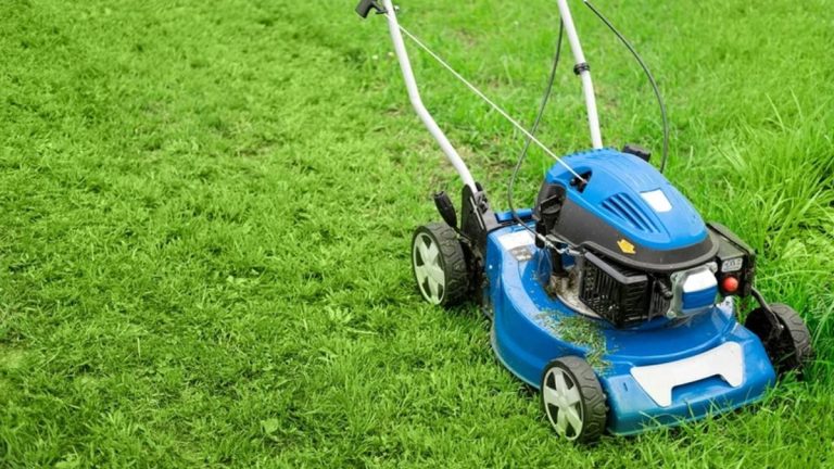 Tondre sa pelouse un jour férié ? Voici la règle à respecter pour éviter une amende salée