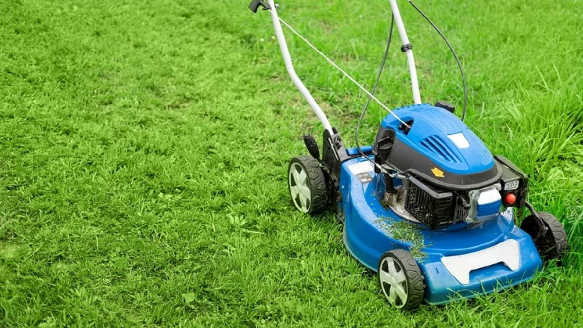Tondre sa pelouse un jour férié ? Voici la règle à respecter pour éviter une amende salée