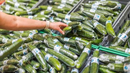 Ne mangez plus les concombres venus de ce pays, ils sont bourrés de pesticides