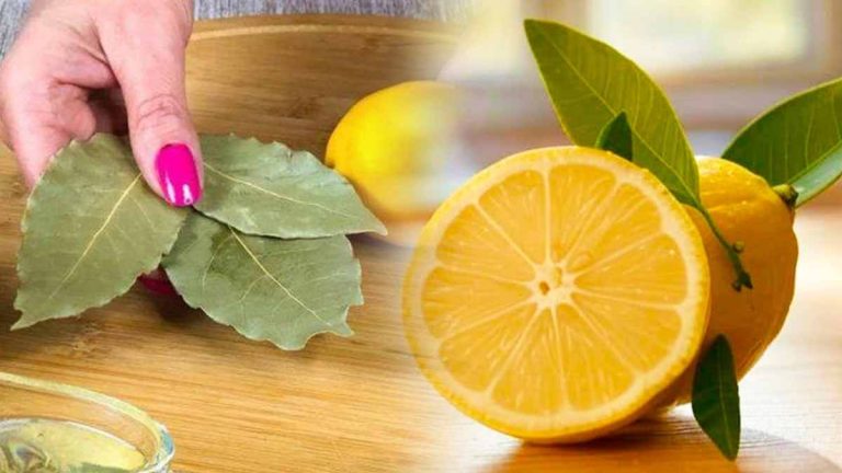 Cette astuce méconnue du citron et du laurier fera des merveilles dans votre maison
