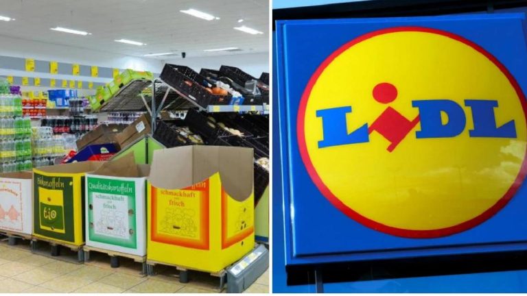 Lidl bientôt défié en France ? Cette nouvelle enseigne discount arrive avec des prix ultra bas