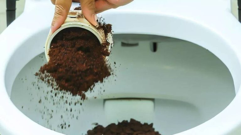 L’astuce méconnue du marc de café dans les WC : la solution miracle à ce problème de plomberie
