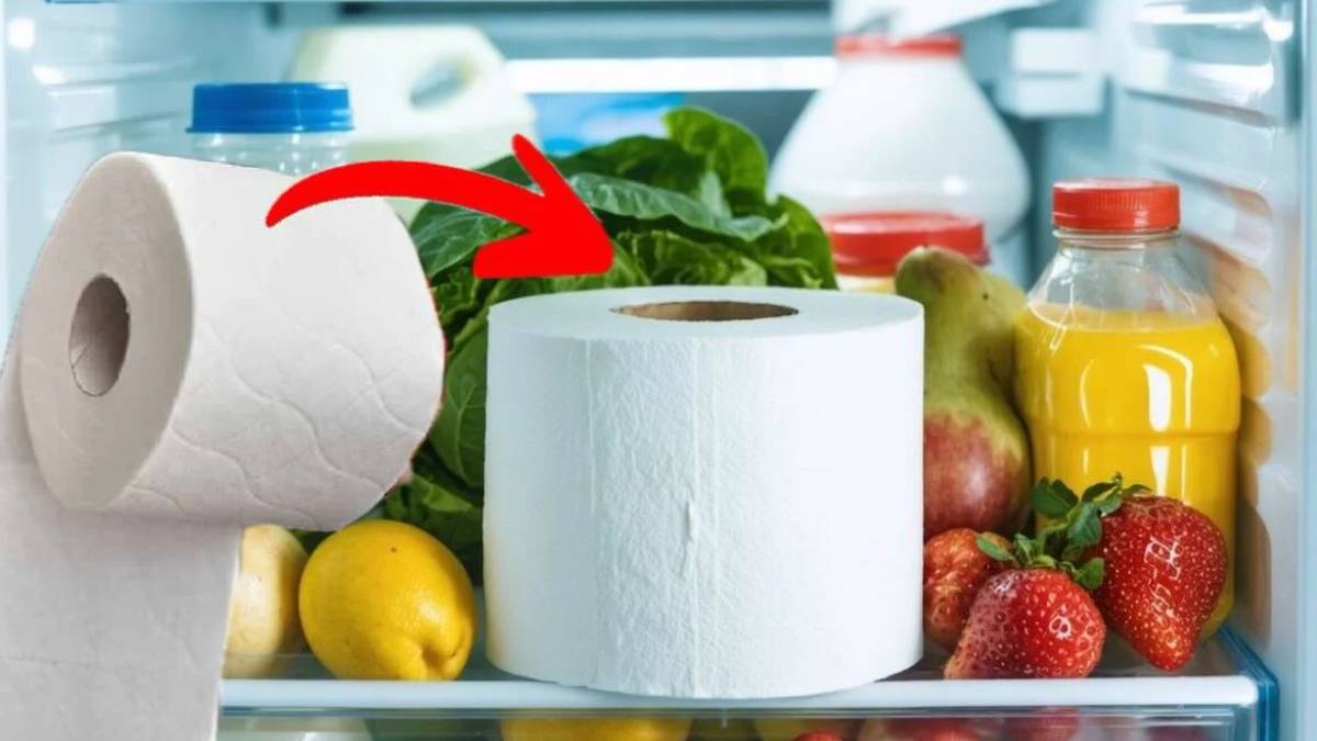 Mettez du papier toilette dans votre frigo : l’astuce géniale pour économiser sur votre facture d’électricité