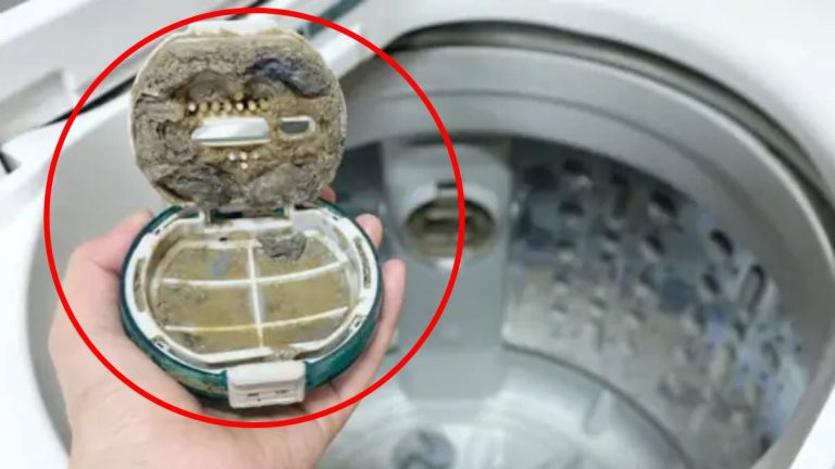 Oubliez le vinaigre blanc : cette astuce méconnue va révolutionner le nettoyage de votre machine à laver