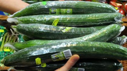 Alerte aux concombres contaminés : ne mangez surtout pas ceux qui viennent de ces pays