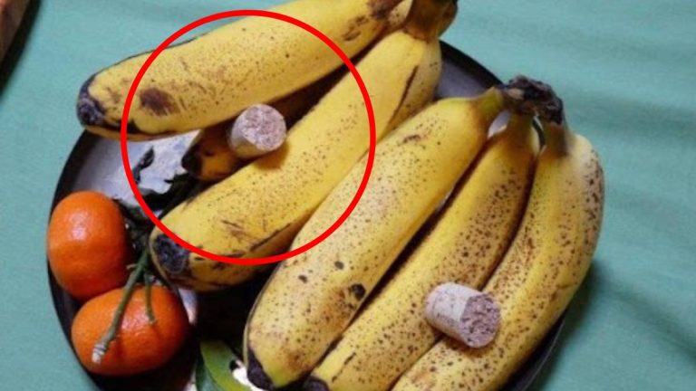Des moucherons dans la cuisine ? Cette astuce du bouchon de liège les fait fuir tout l’été