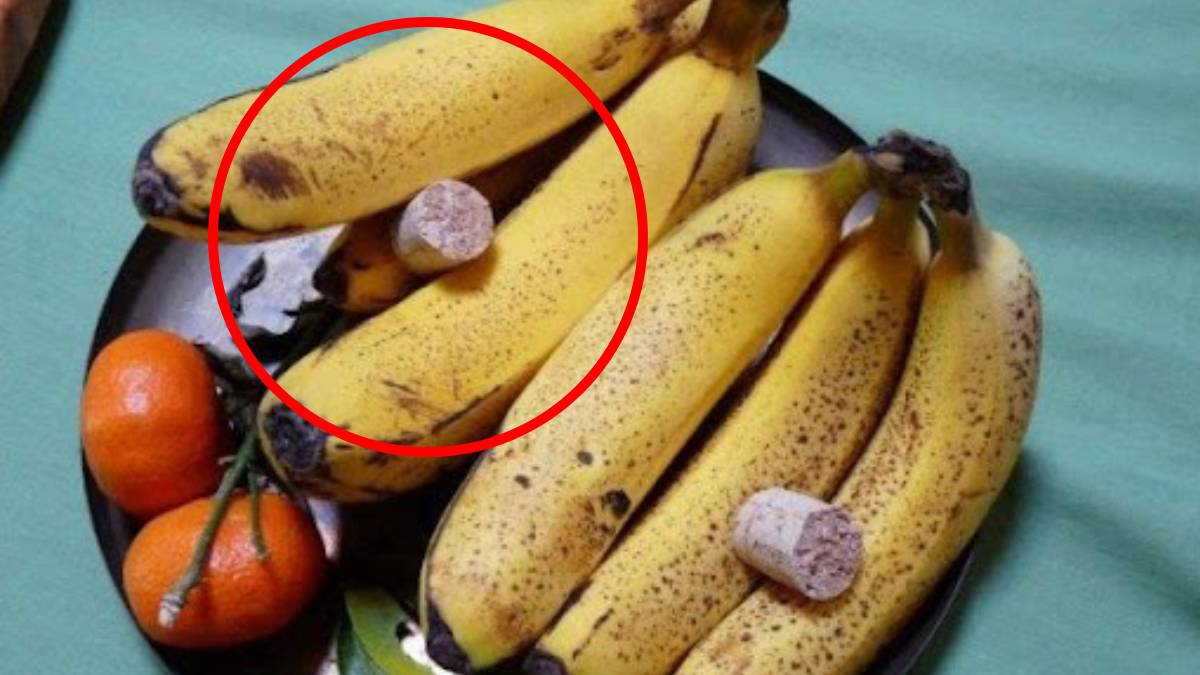 Des moucherons dans la cuisine ? Cette astuce du bouchon de liège les fait fuir tout l’été